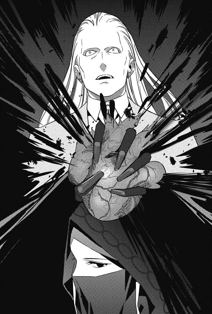 Fate/Strange Fake小说插图（20）