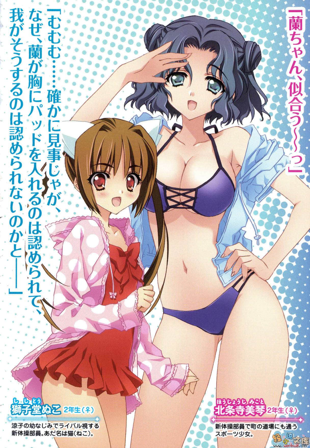 《Mix！误打误撞成了体操少女》2 不要叫我姊姊 插图（6）