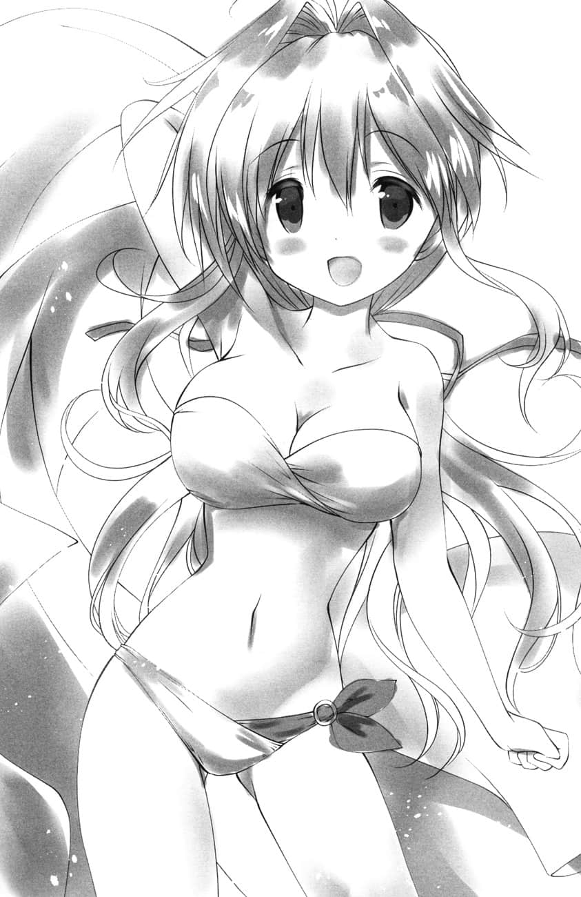 《圣树之国的禁咒使》9 插图（9）