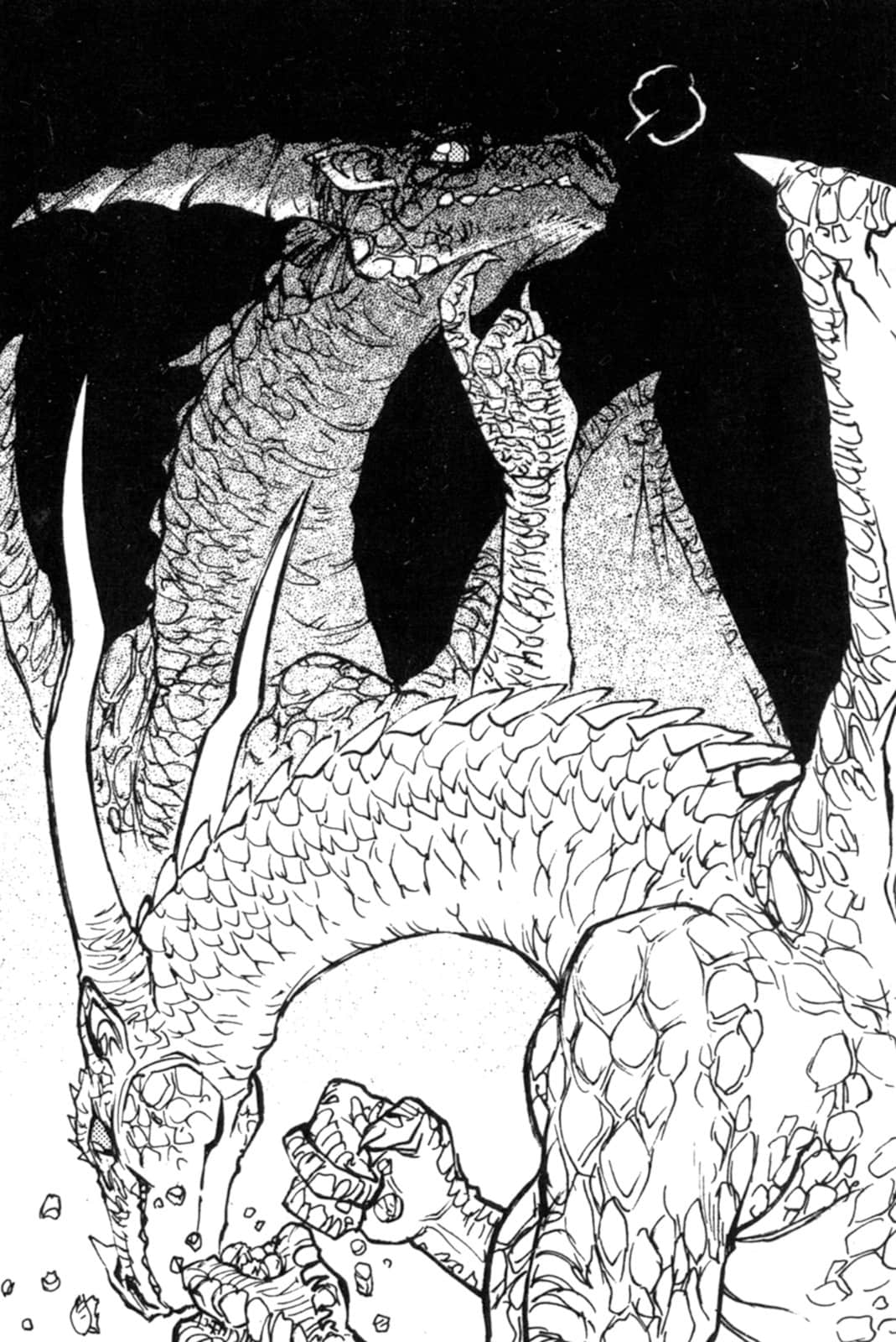 《Dragon's Will》Dragon's Will 全一册 插图（11）