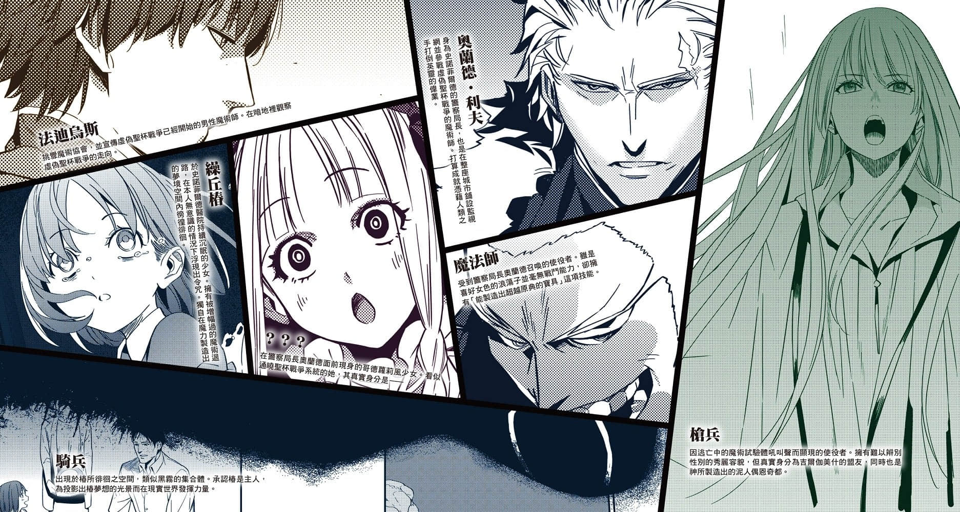 Fate/Strange Fake小说插图（13）