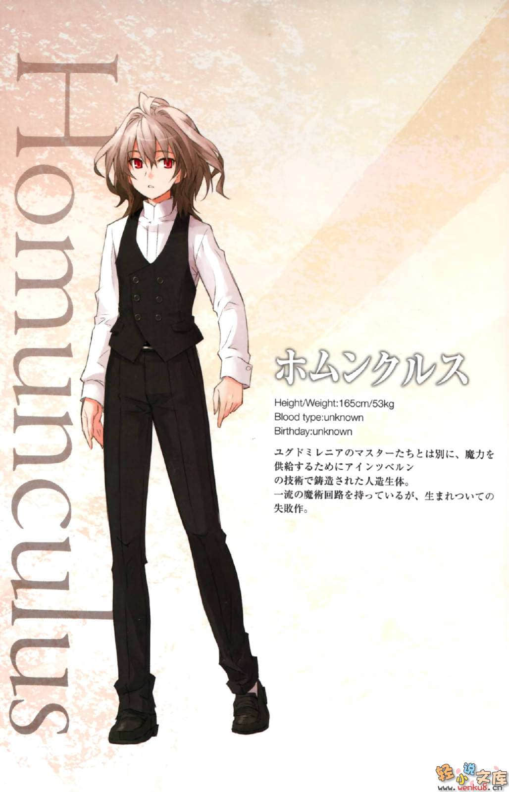 Fate Apocrypha小说插图（11）