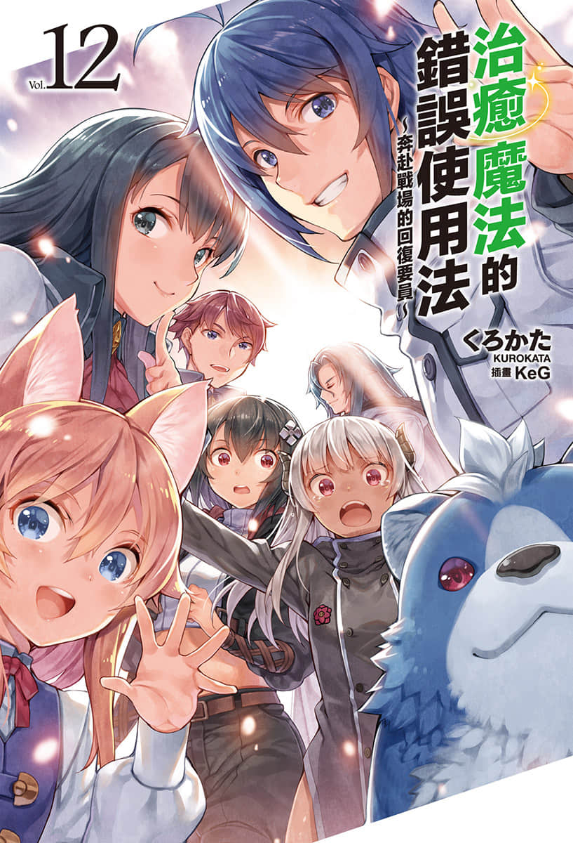 《治愈魔法的错误使用法 ～奔赴战场的回复要员～》12 插图（2）