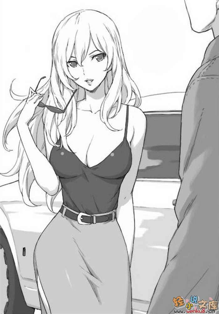 《与某飞行员的誓约》5 插图（10）