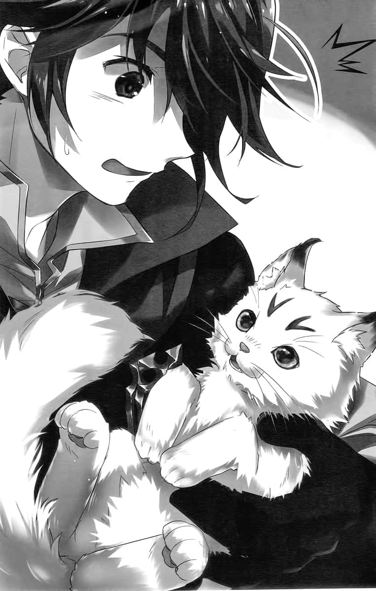 《魔弹之王与圣泉的双纹剑》2 第2话 猫之王插图(1)
