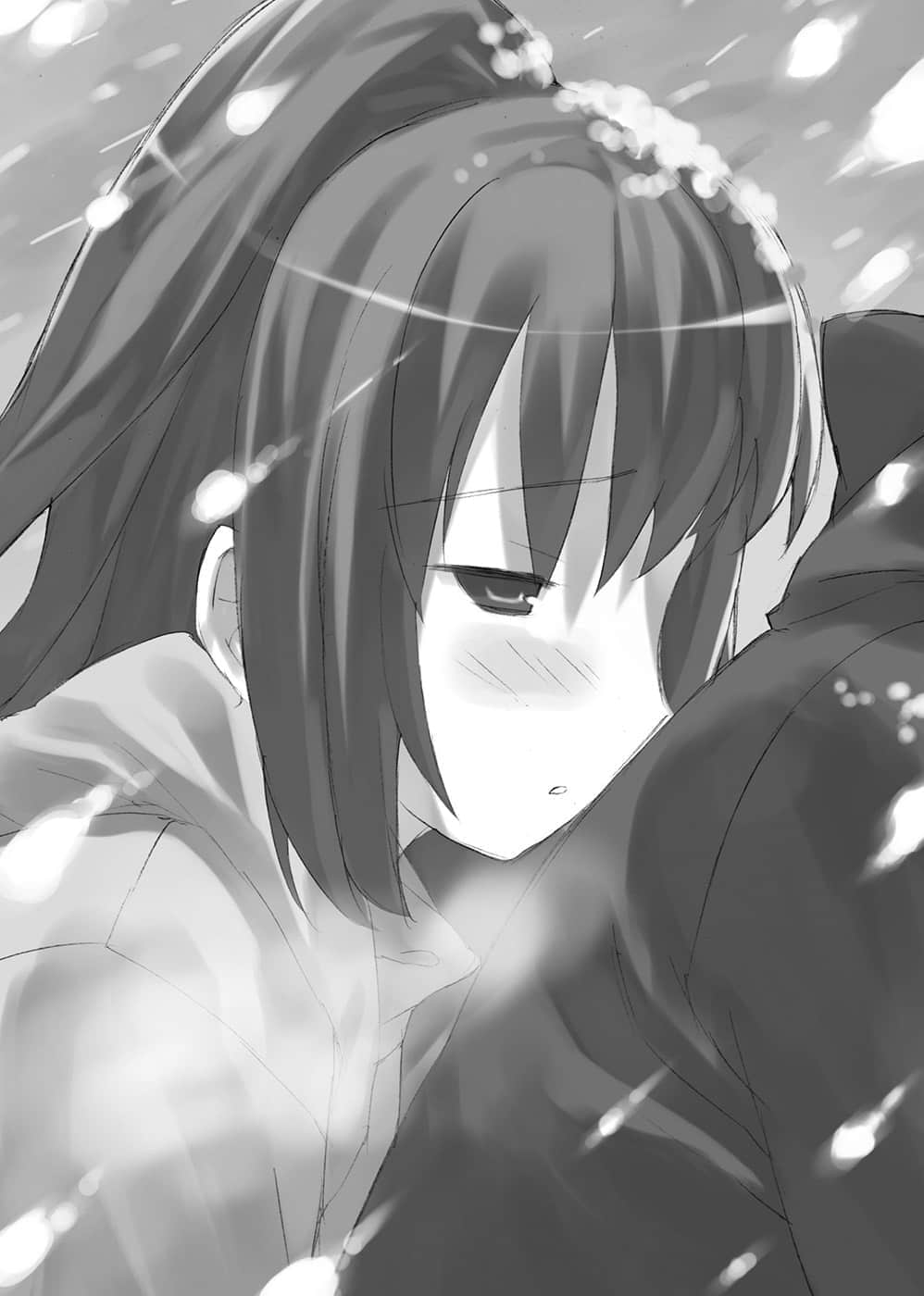 TIGER×DRAGON！小说插图（119）