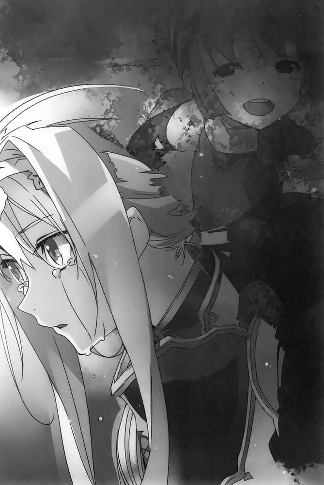 《刀剑神域 Sword Art Online》13 Alicization Dividing 第十一章 元老院的秘密 人界历三八〇年五月插图（1）