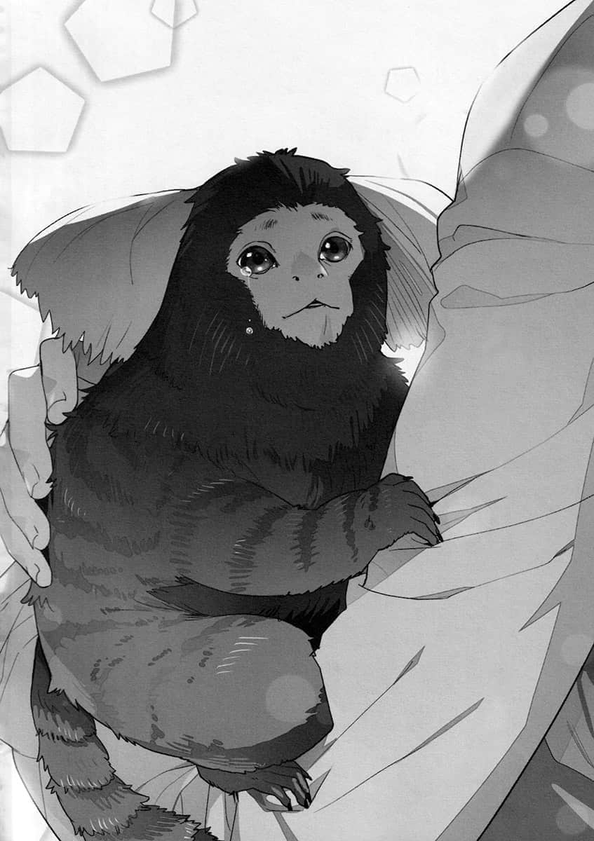 《沒有與世界之暗戰鬥的祕密組織，所以我建立了一個（怒）》1 15話 真•治癒系N主角插圖（1）