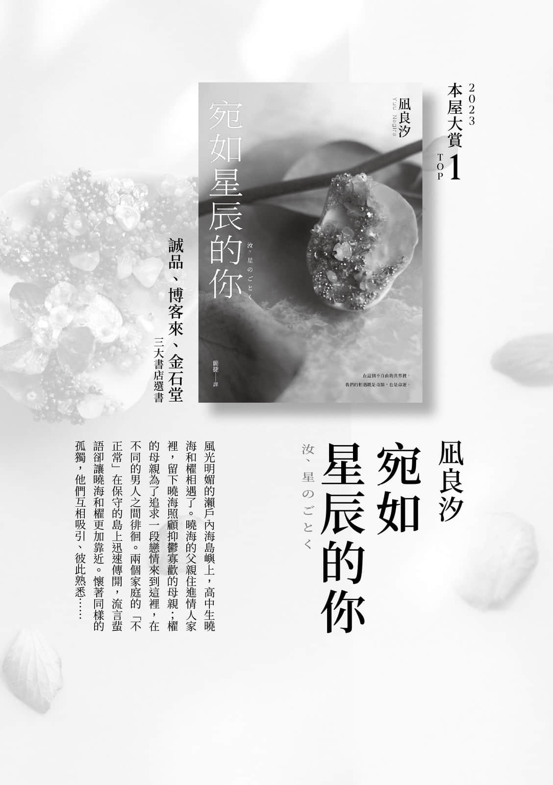编织星辰的你小说插图（2）