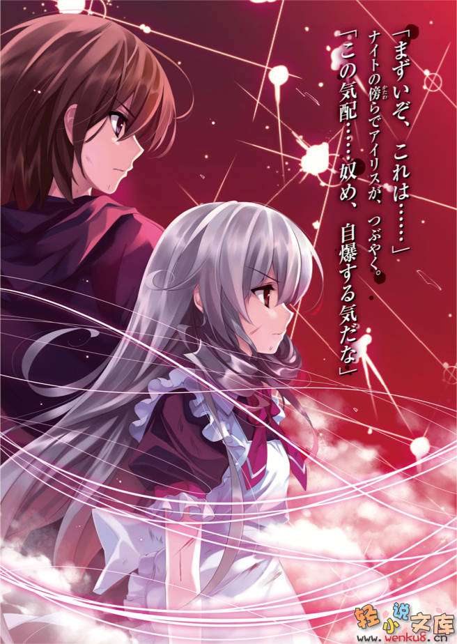 《降临于我与她之夜》8 Ability Zero 虚空未来 插图（4）