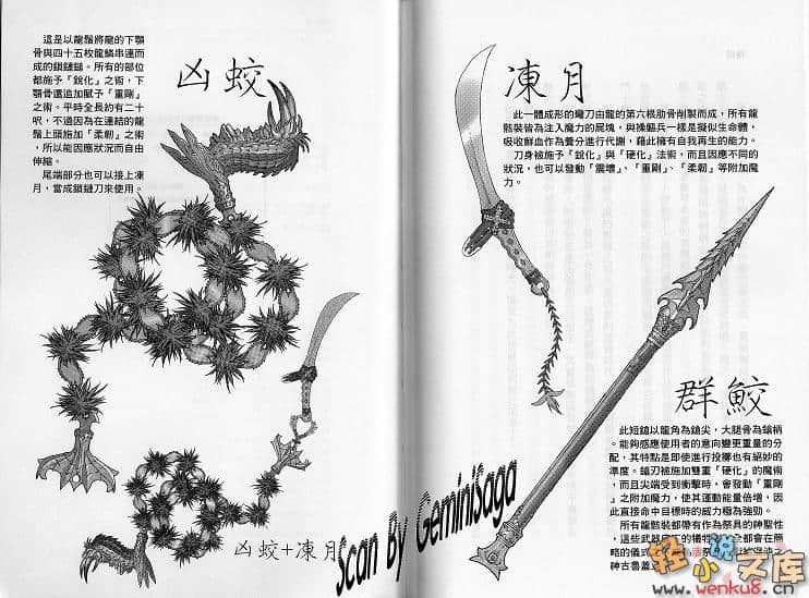 《白貌传道师》1 插图（19）