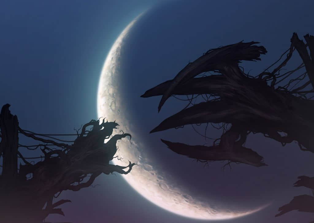魔法使之夜 小说小说插图（24）