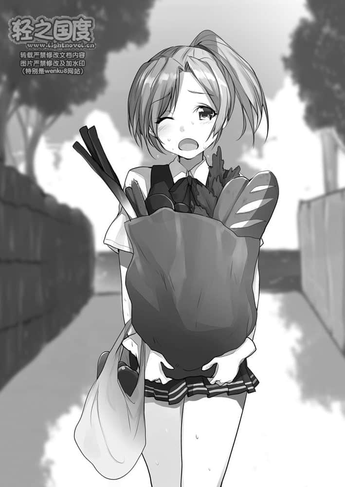 舰队Collection 鹤翼之绊小说插图（48）
