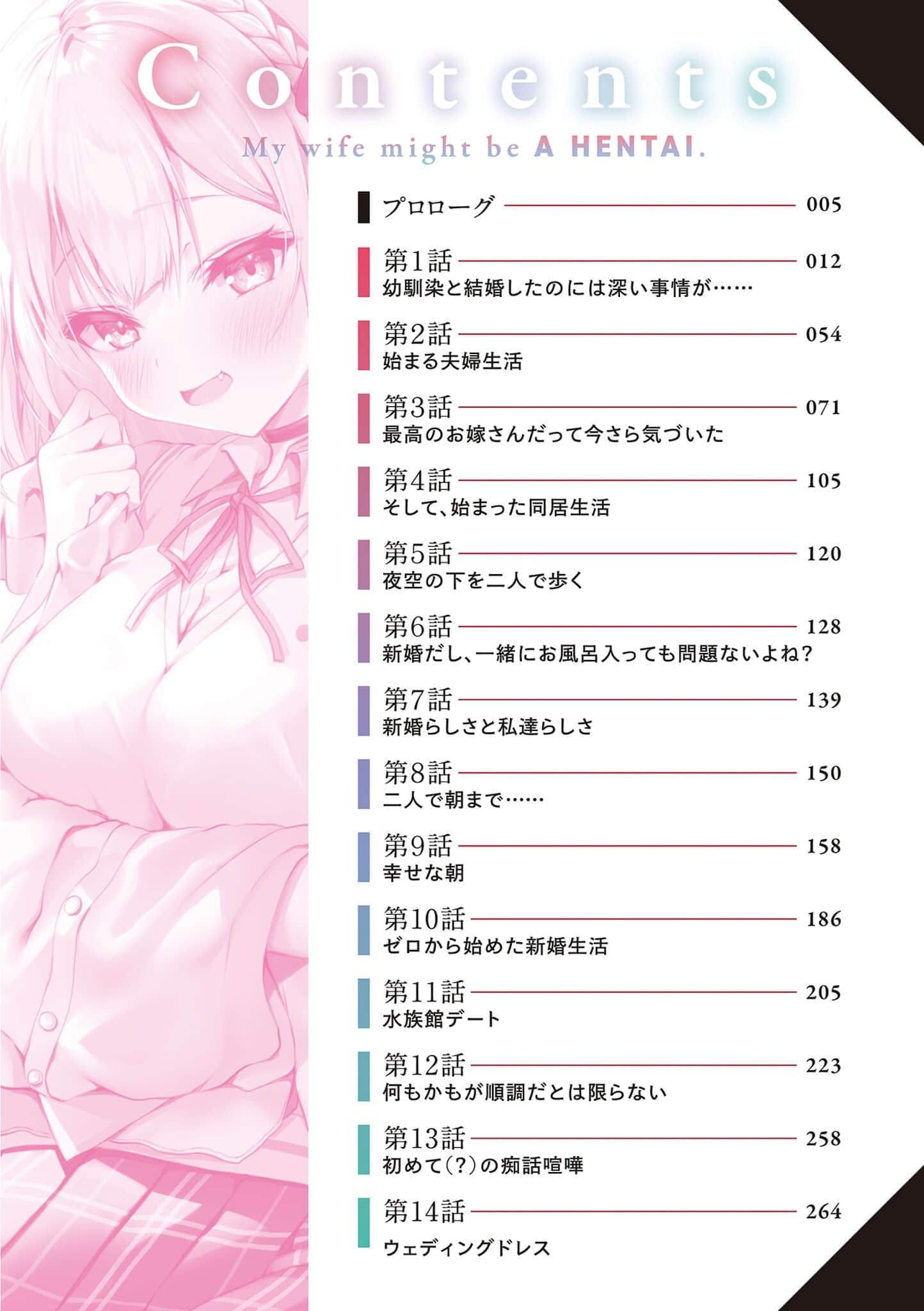 我的老婆，可能是个变态小说插图（1）