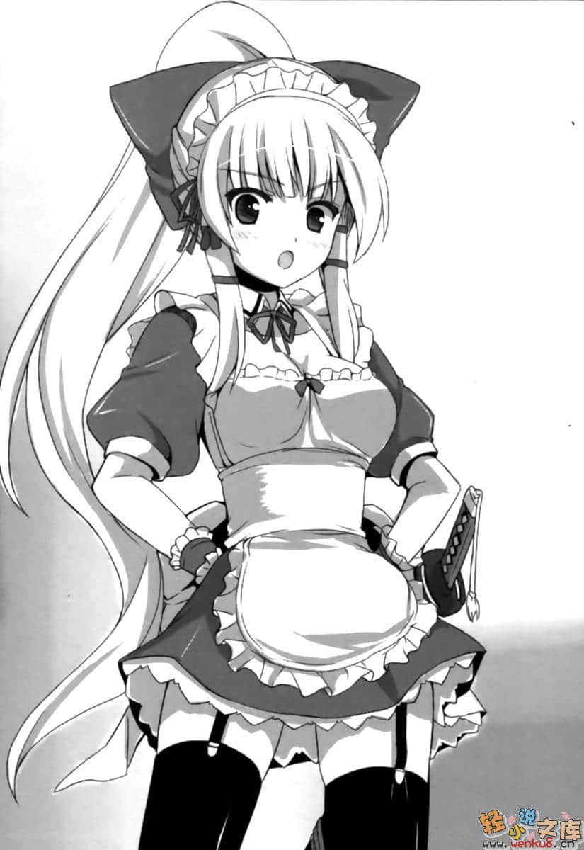 主人和女仆大人小说插图（4）