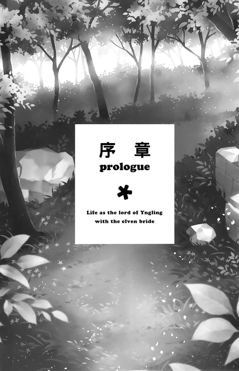 《與精靈新娘攜手展開異世界領主生活》4 那樣的觀光地不要緊嗎?問題……一大堆!? 序章插圖(1)