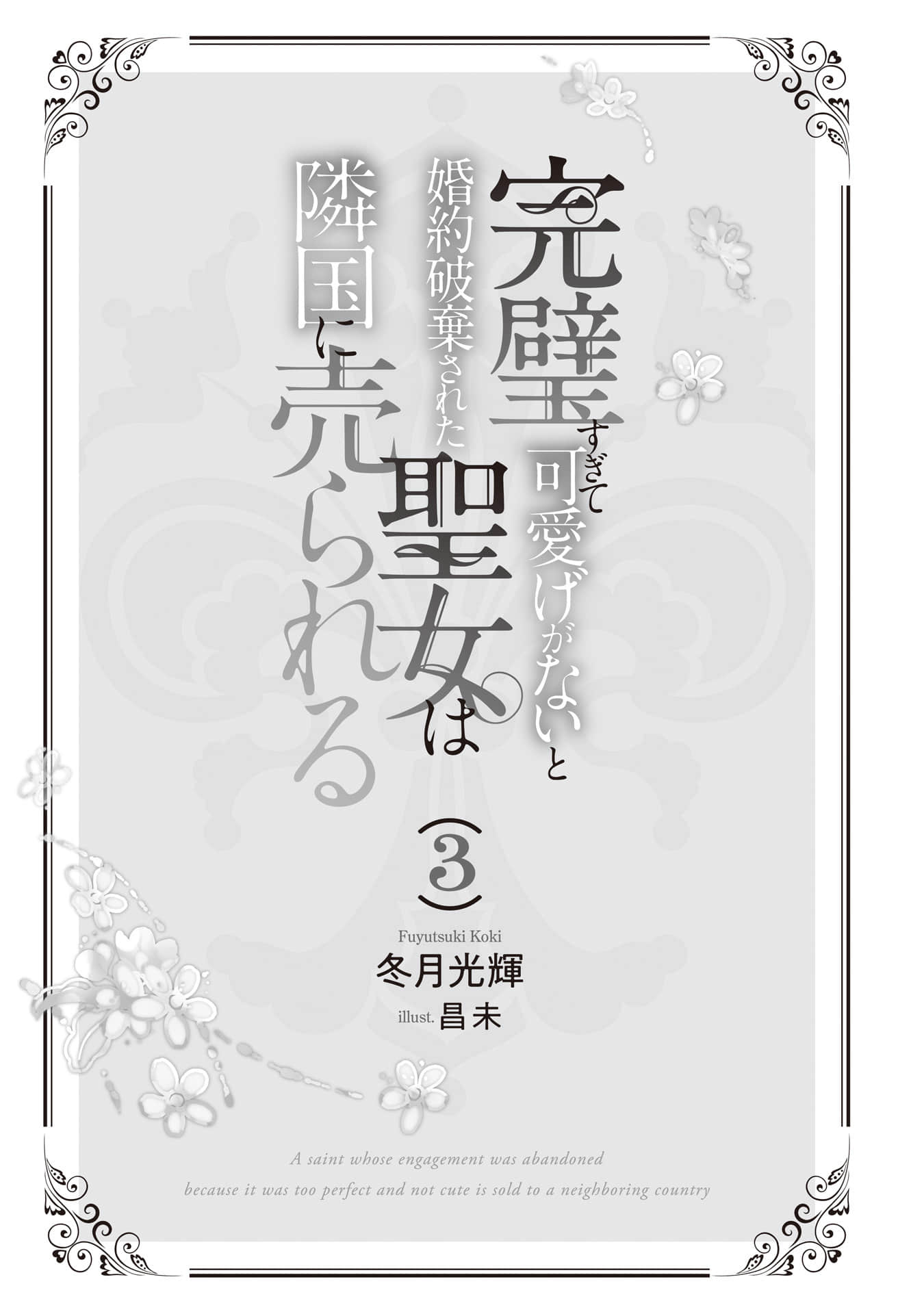 完美到難以接近的聖女遭到解除婚約後被賣到鄰國小說插圖（41）