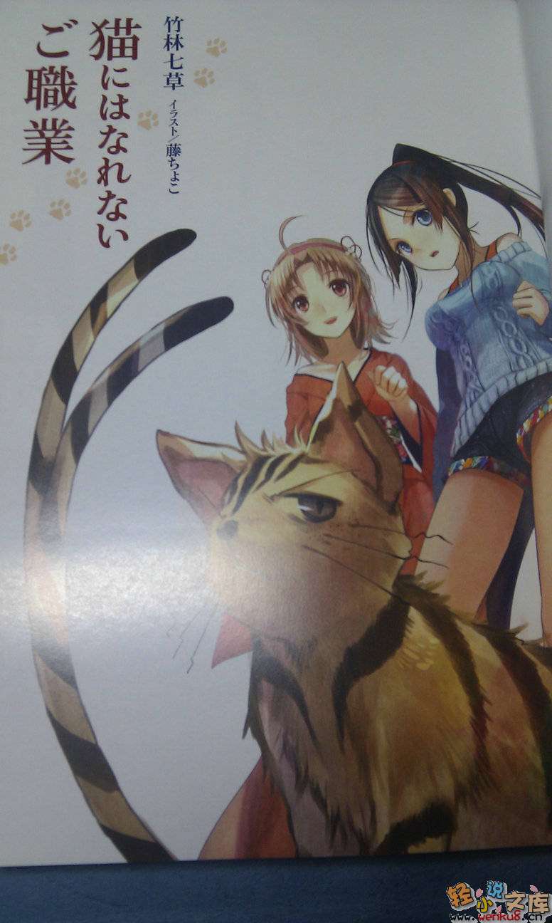 《猫所不能从事的职业》1 插图（2）