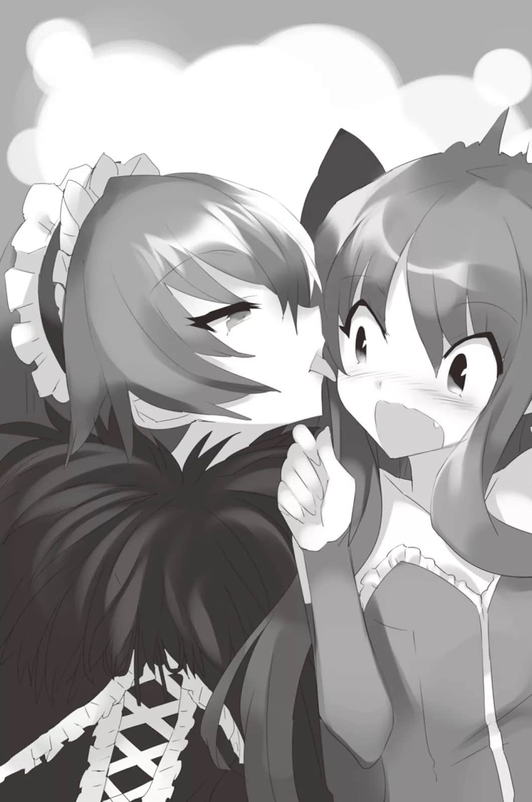 零之使魔小说插图（229）