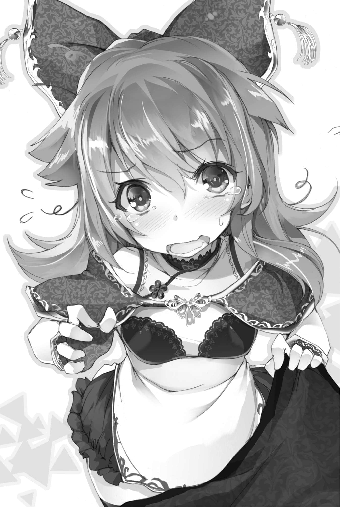 真·三国志妹小说插图（13）