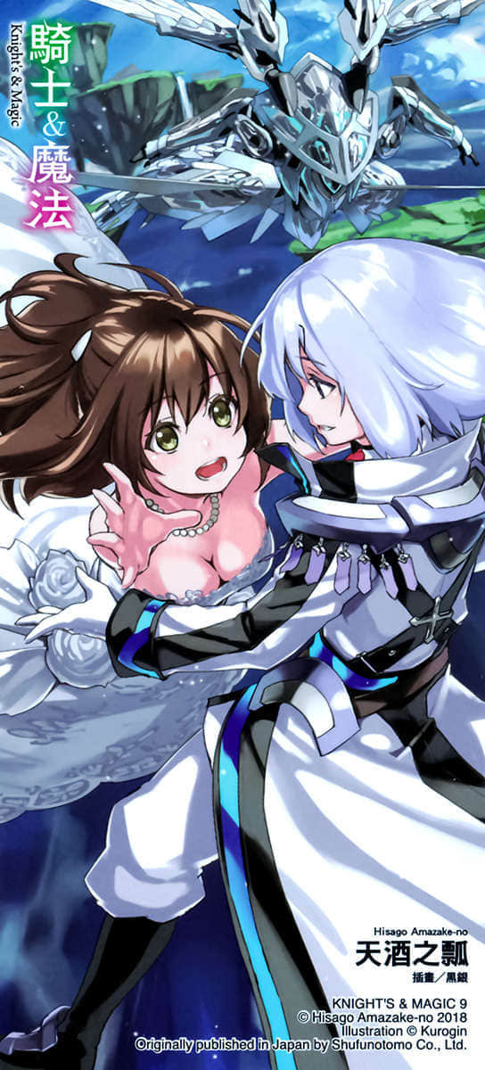 《骑士＆魔法》9 第八十二话 在火焰的另一头做个了断插图（2）