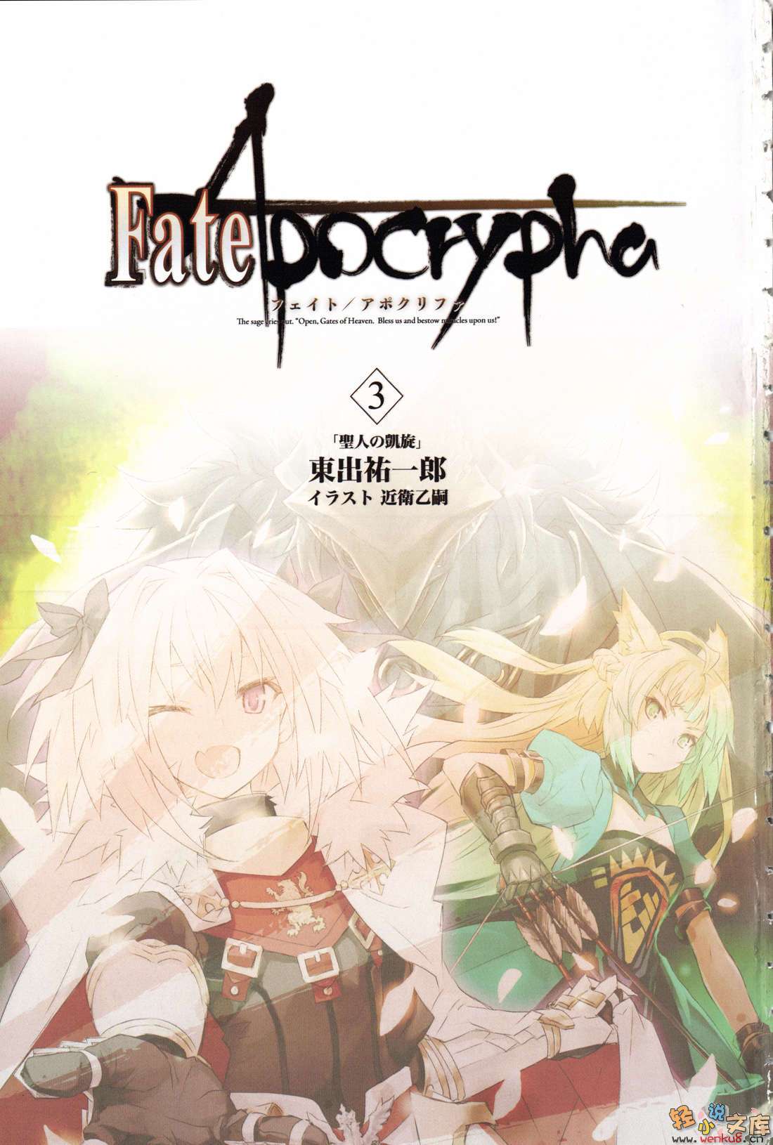 Fate Apocrypha小说插图（72）