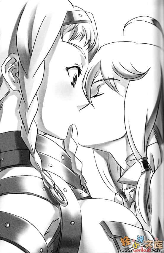 女王之刃小说插图（12）