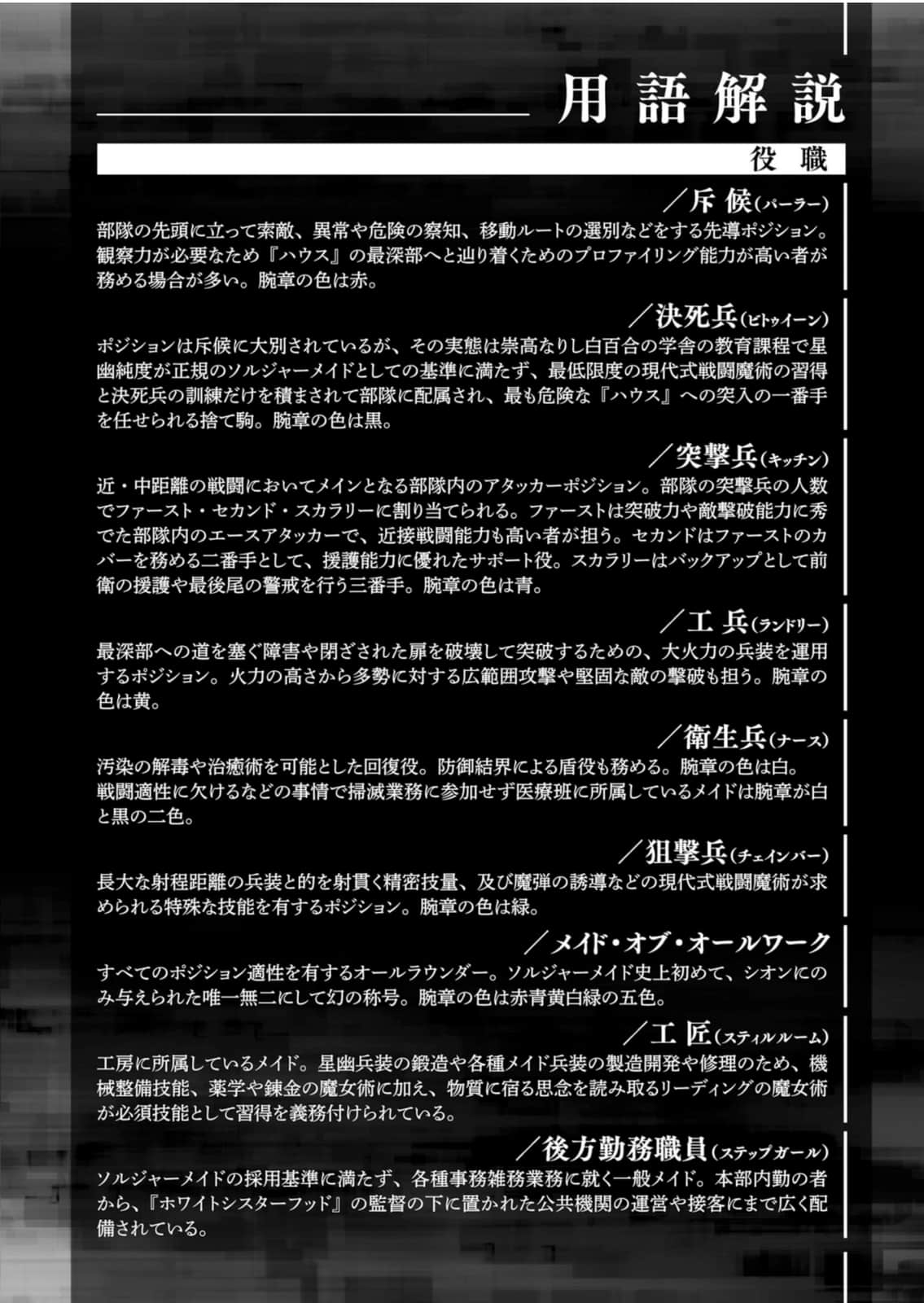 异界扫灭的战斗女仆小说插图（19）