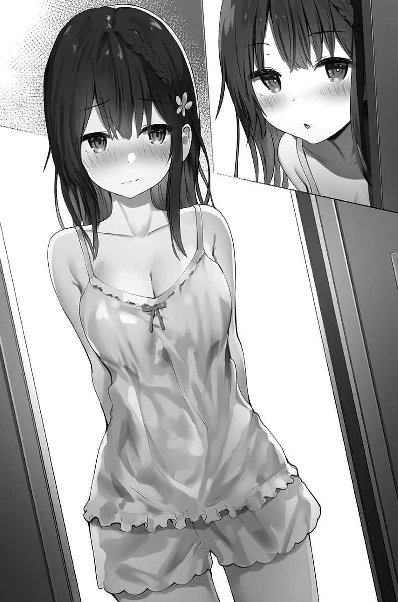 内衣女孩任你摆布小说插图（2）