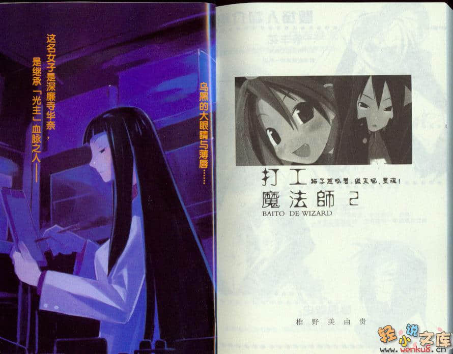 《打工魔法师》2 狮子怒吼着：毁灭吧，灵魂！ 插图（4）