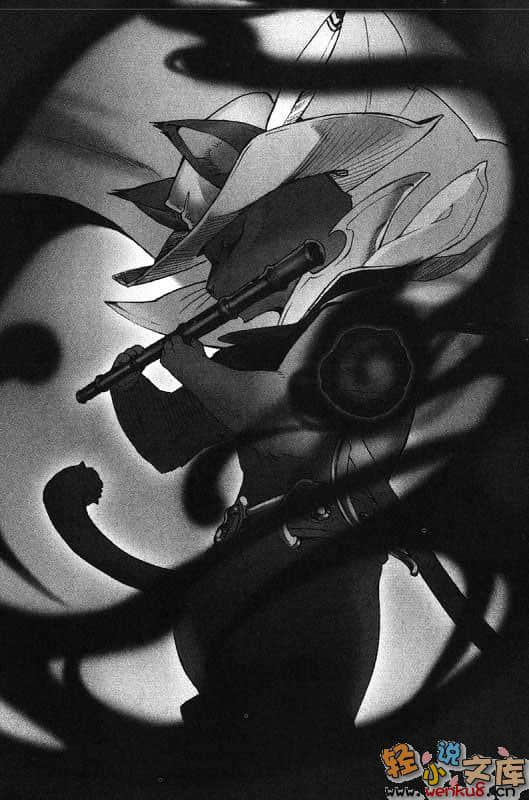 《轮环的魔导师》1 暗语的阿尔凯因 插图（17）