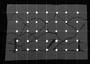 《诡画》全一册 第三章 M术老师临死的画插图（25）