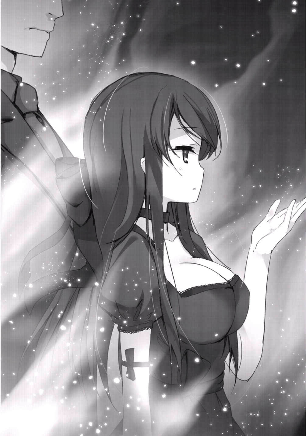 《圣剑使的禁咒咏唱》10 插图（15）