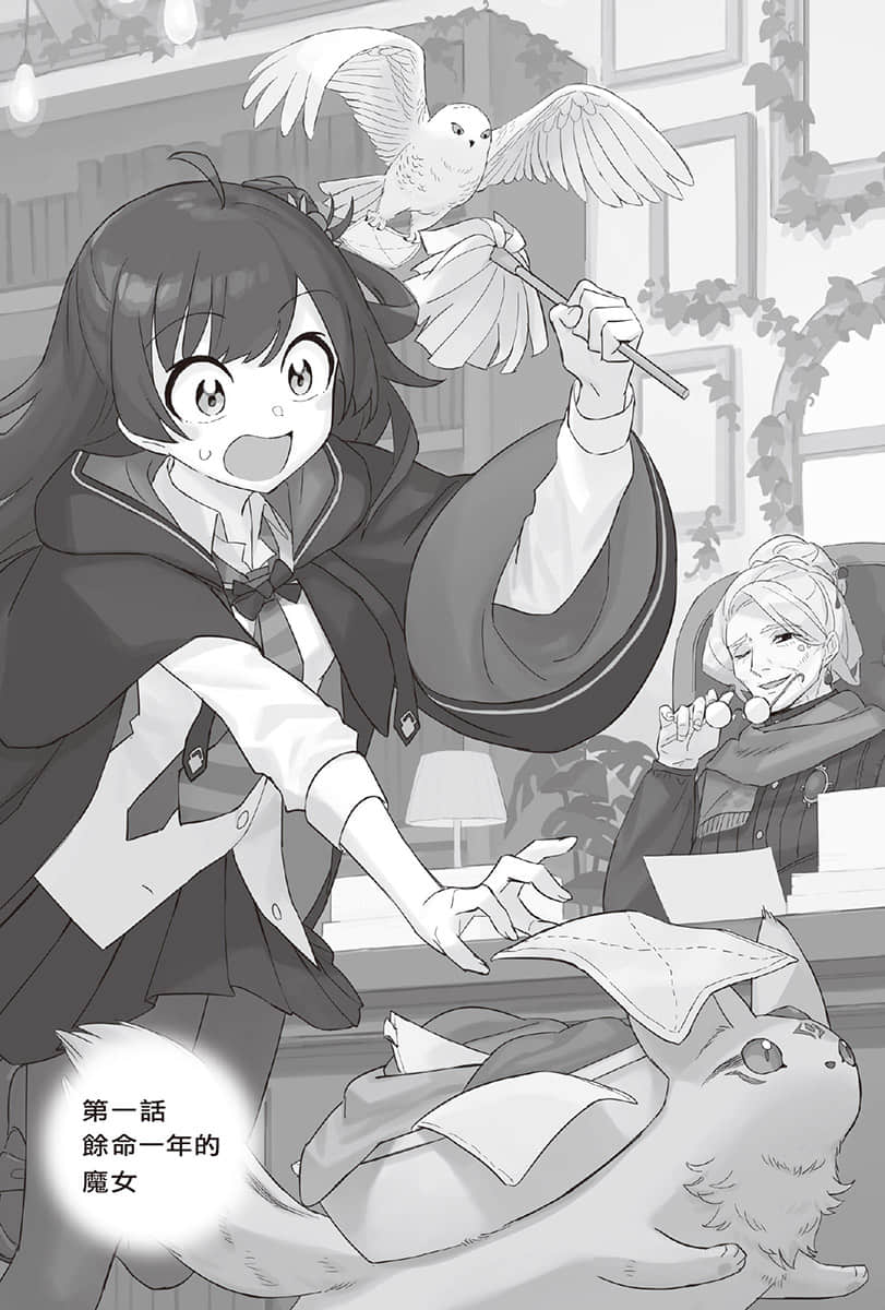 直至魔女消逝小说插图（7）