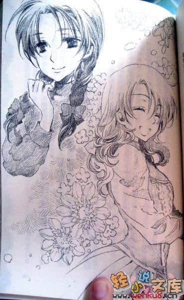 《维多利亚蔷薇色》11 恋之礼服与黄昏之梦 插图（8）