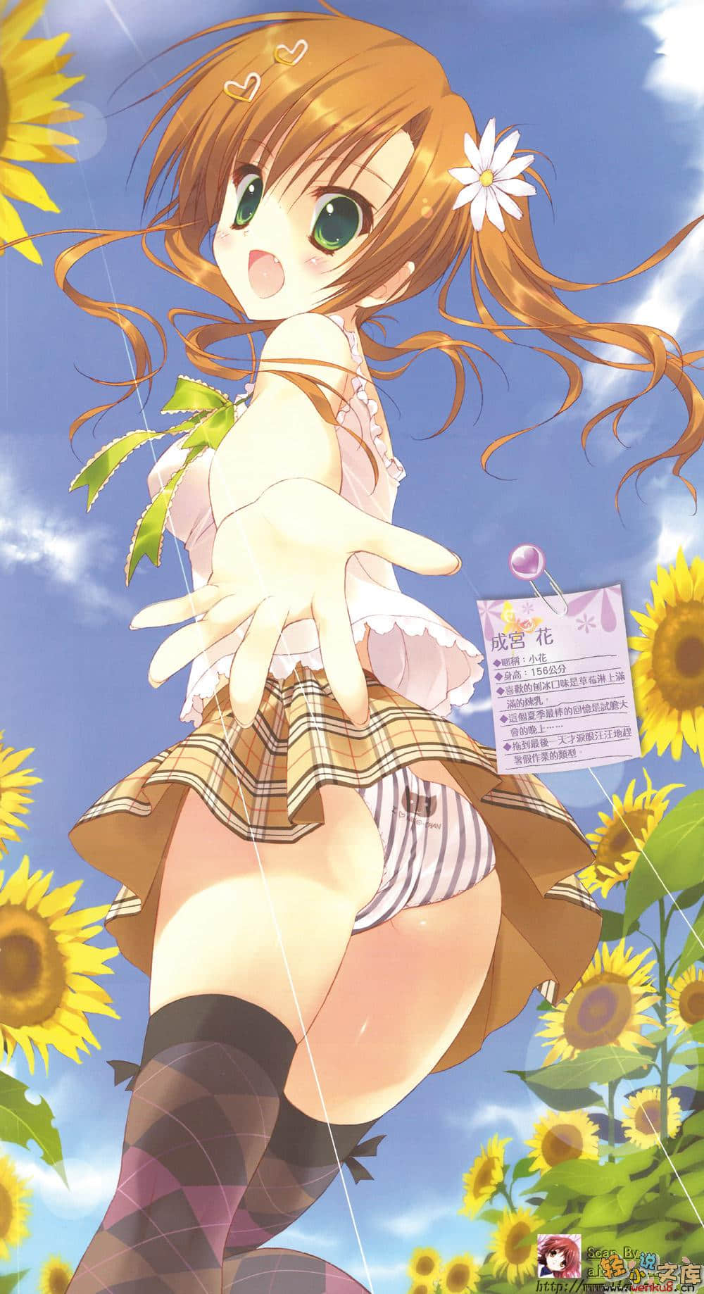 花X华小说插图（31）
