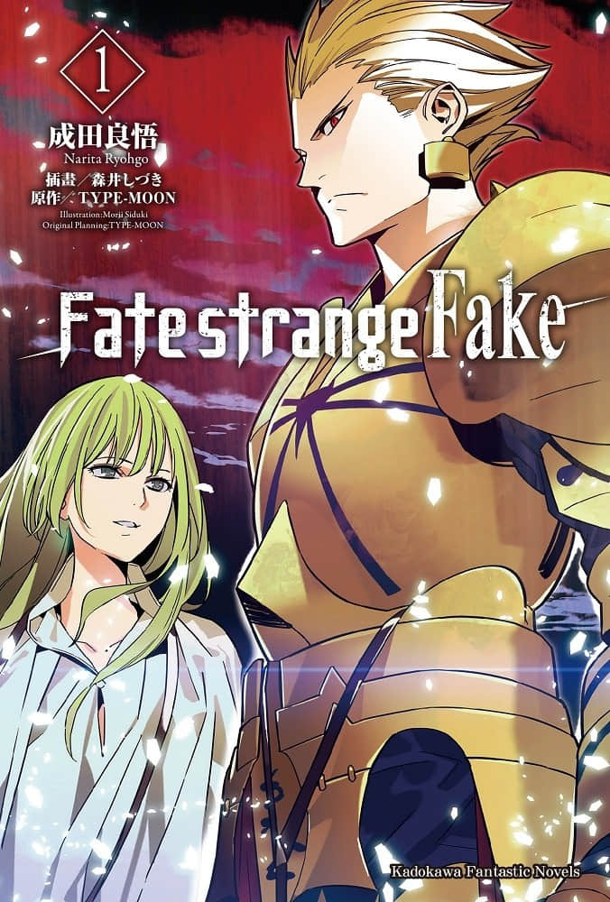 Fate/Strange Fake小说插图（9）