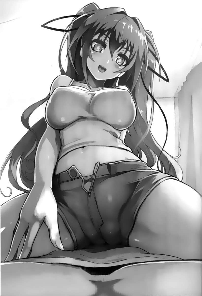 新妹魔王的契约者小说插图（16）