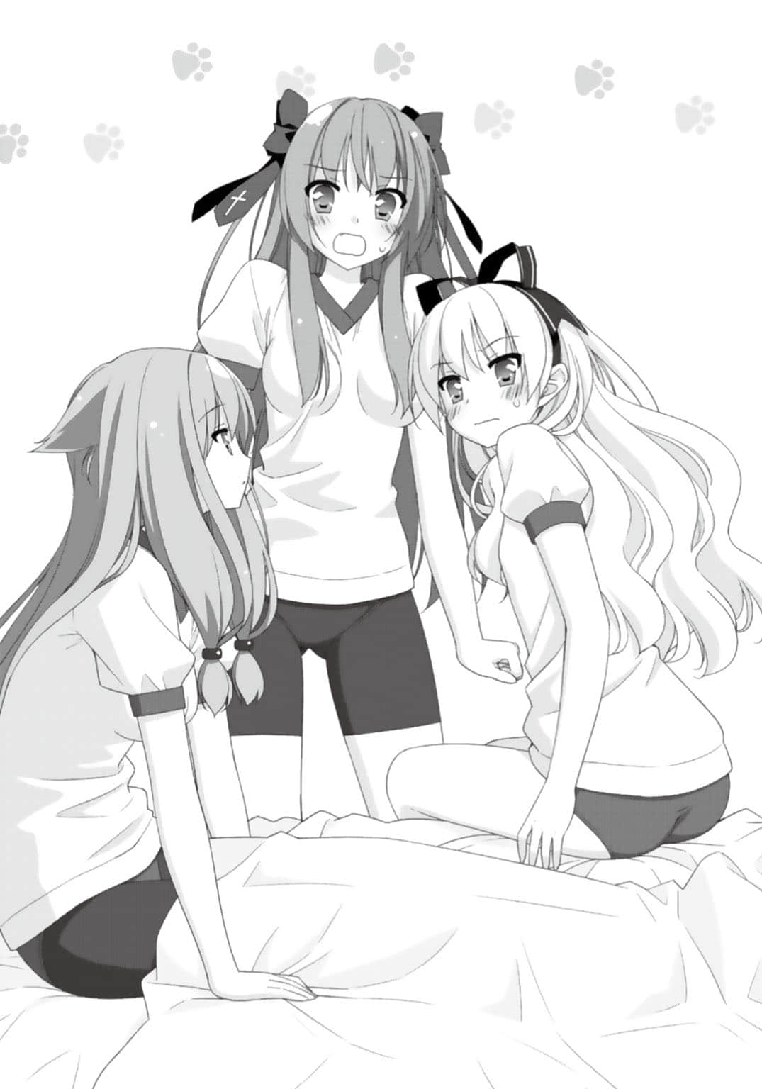 《娇蛮猫娘大横行!》3 ……捡我吗? 终章插图(1)