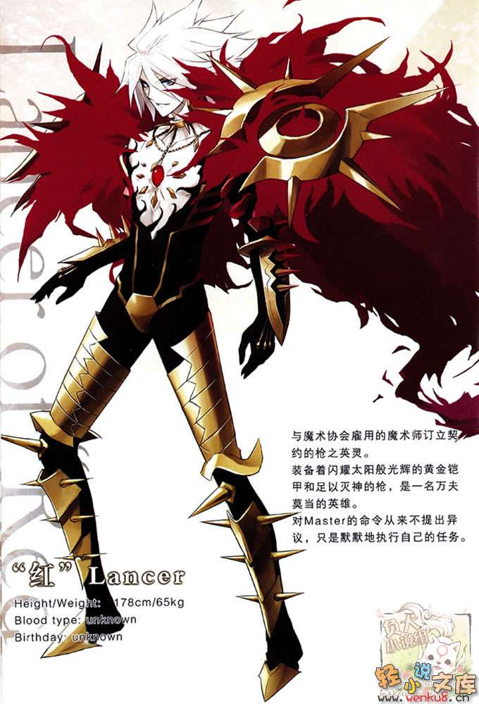 Fate Apocrypha小说插图（45）