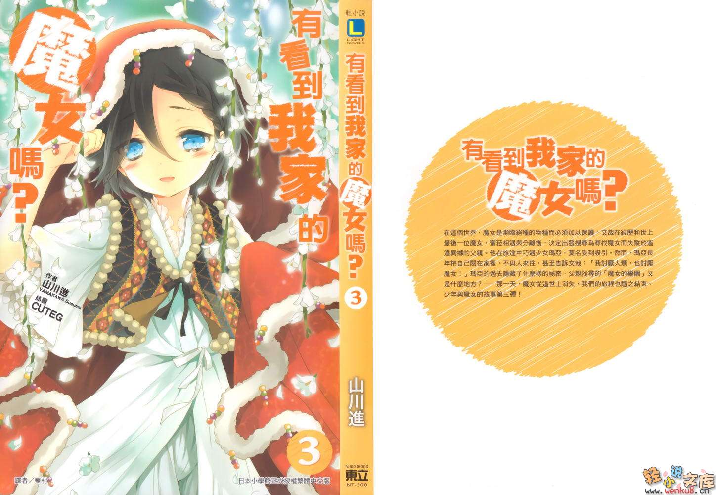 有看到我家的魔女吗？小说插图（41）