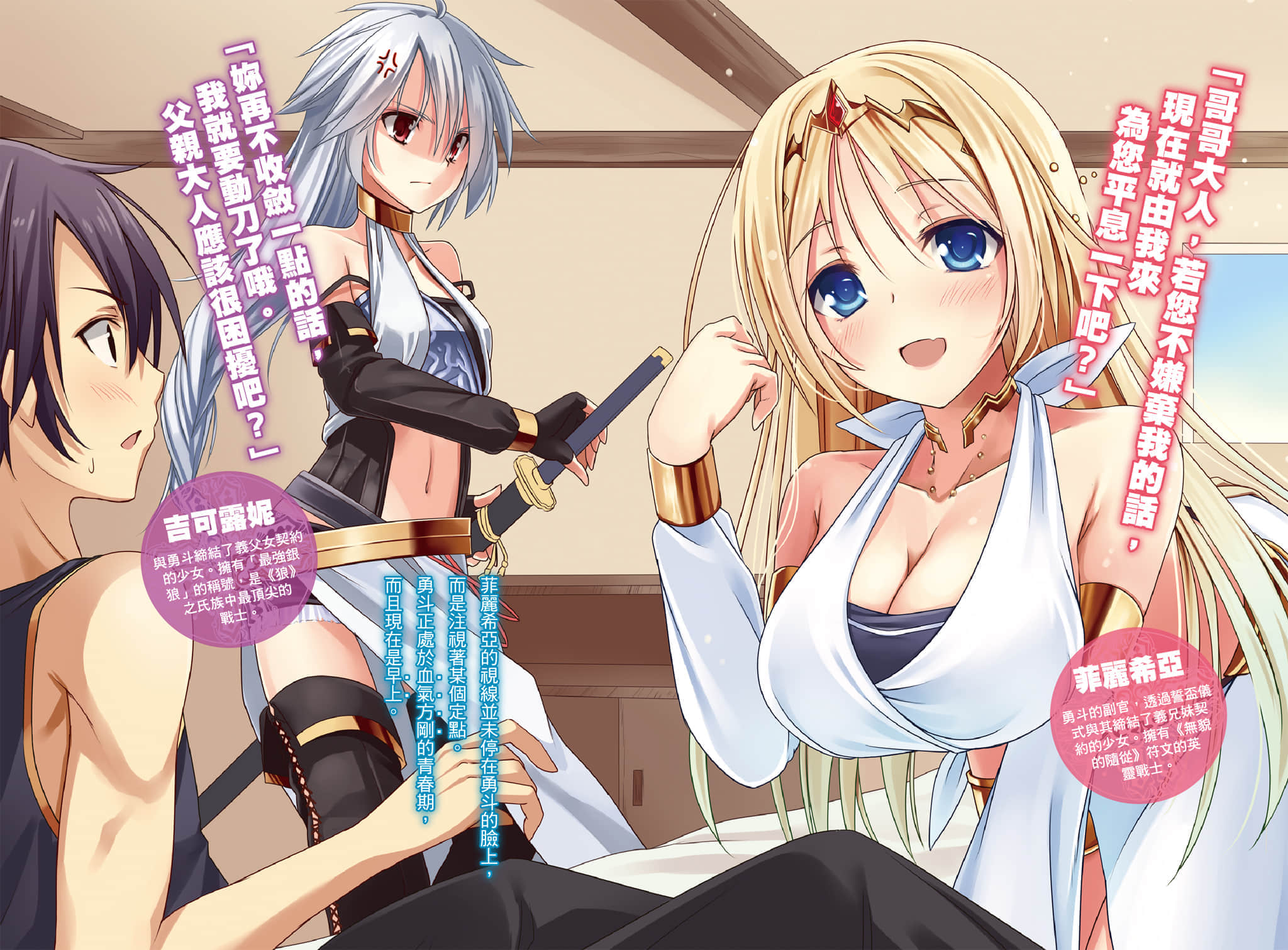百炼霸王与圣约女武神小说插图（16）