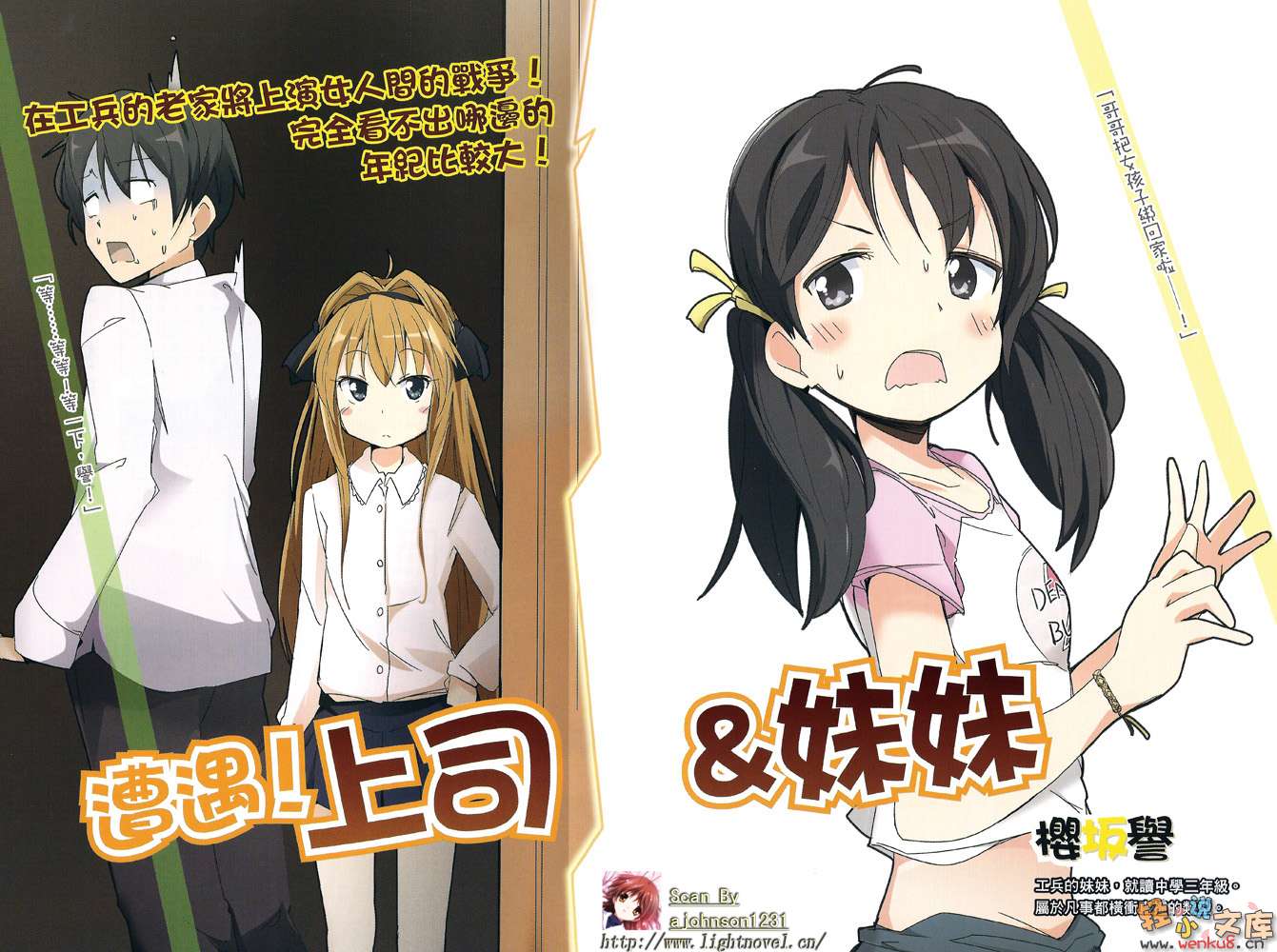 《奋斗吧！系统工程师》5 按部就班？客服工程师 插图（5）