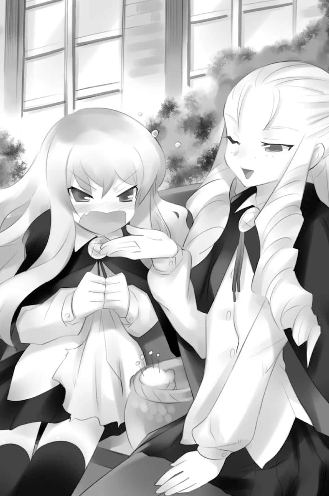 零之使魔小说插图（115）