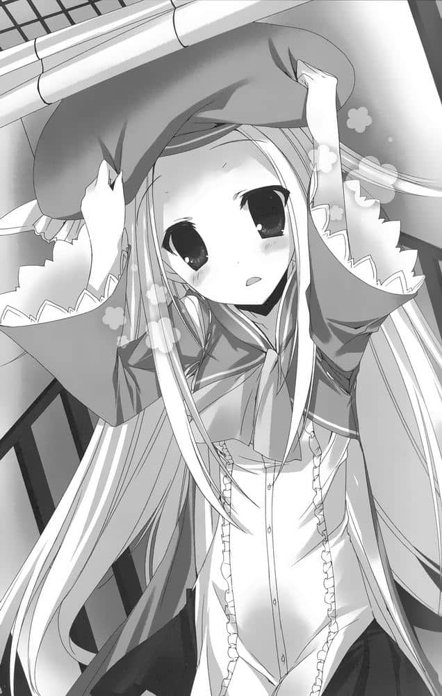 我的狐姬主人小说插图（17）