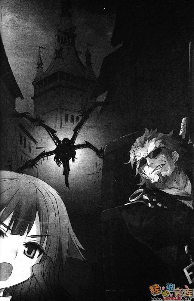 Fate Apocrypha小说插图（36）