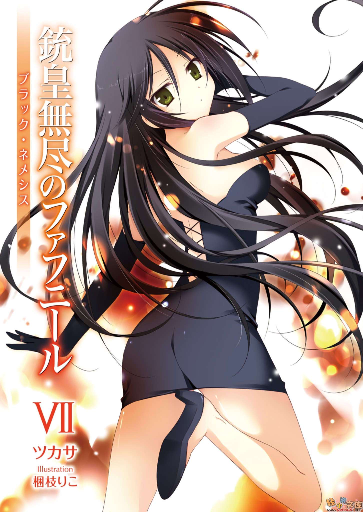 《铳皇无尽的法夫纳》7 黑之女神 插图（2）