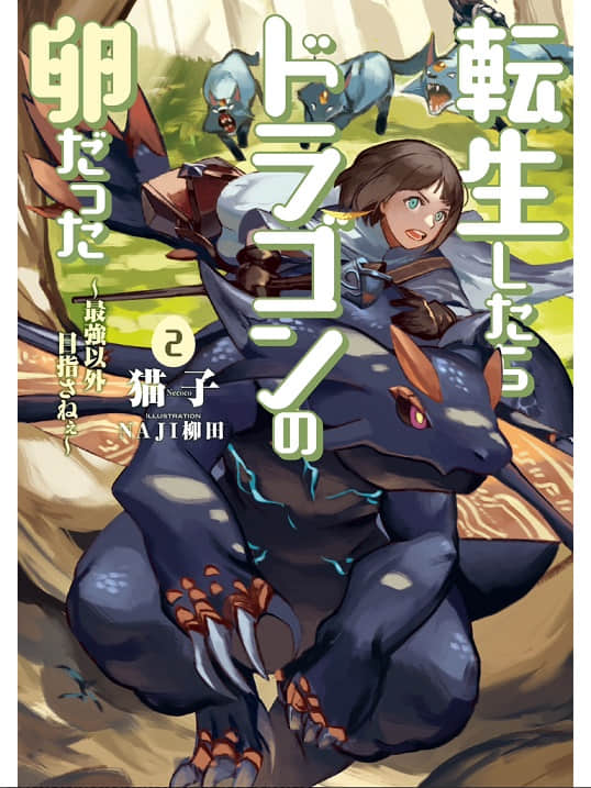 转生龙蛋 ～目标只有最强小说插图（17）