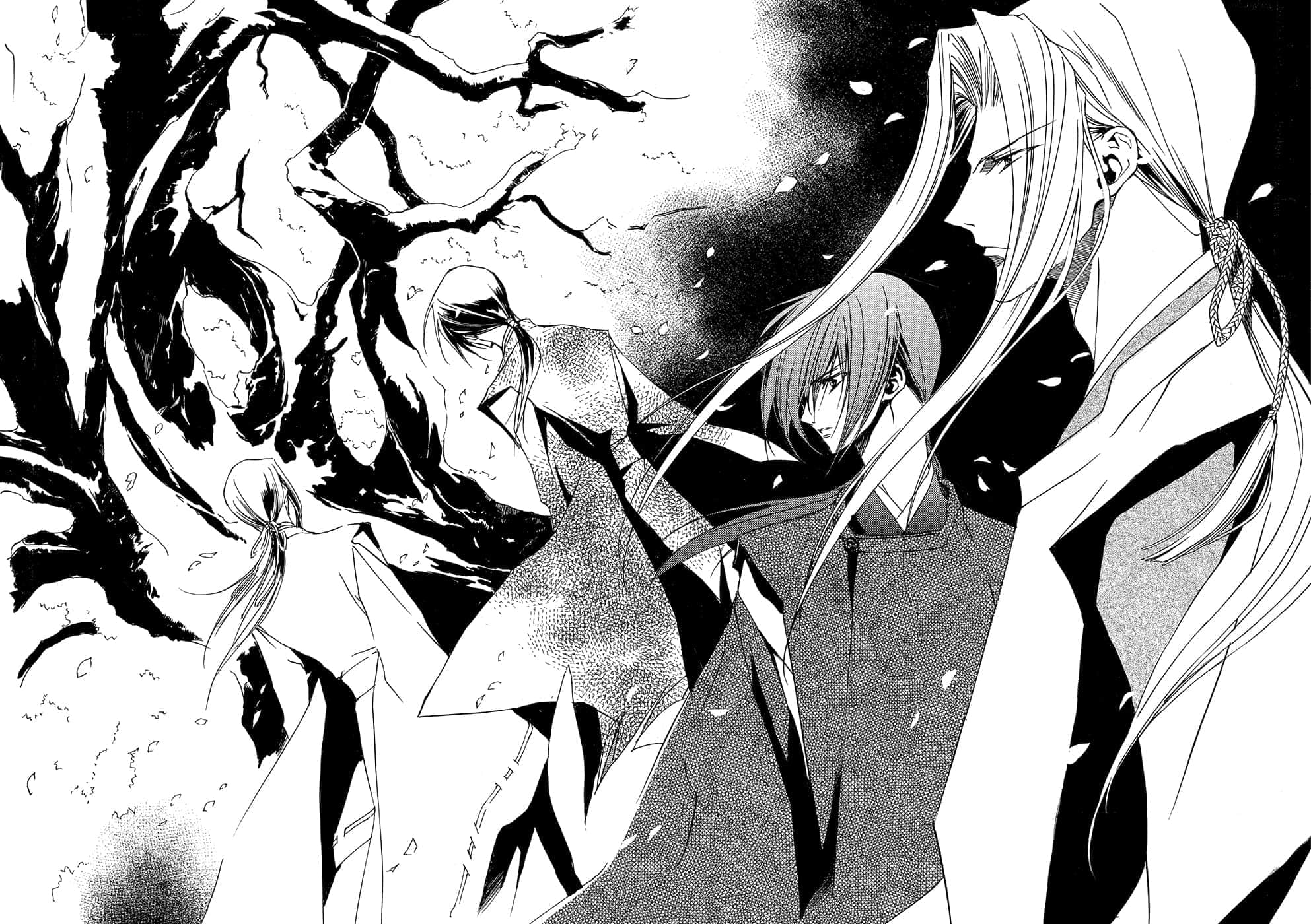 《少年阴阳师》37 落樱之祷 插图（7）