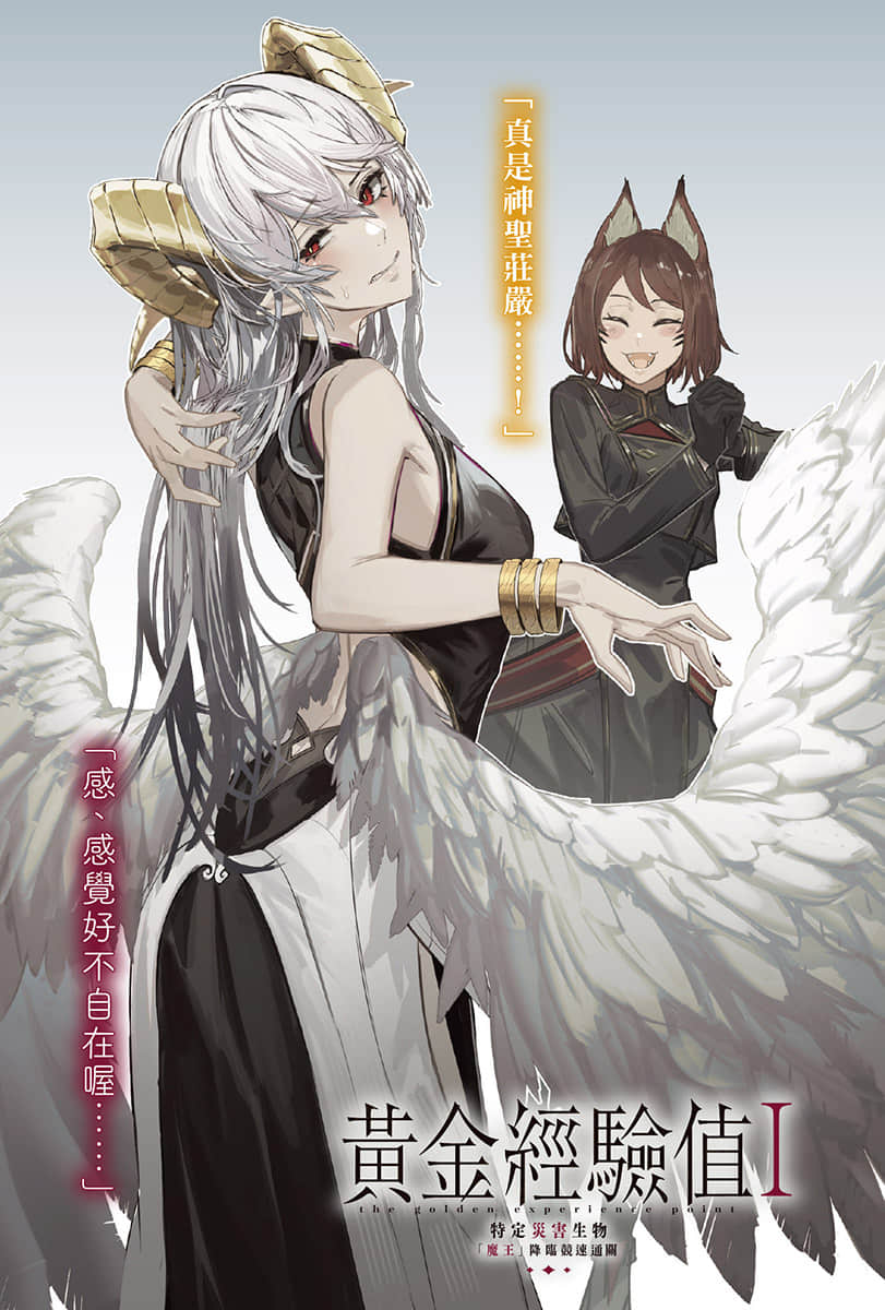 黄金经验值小说插图（8）